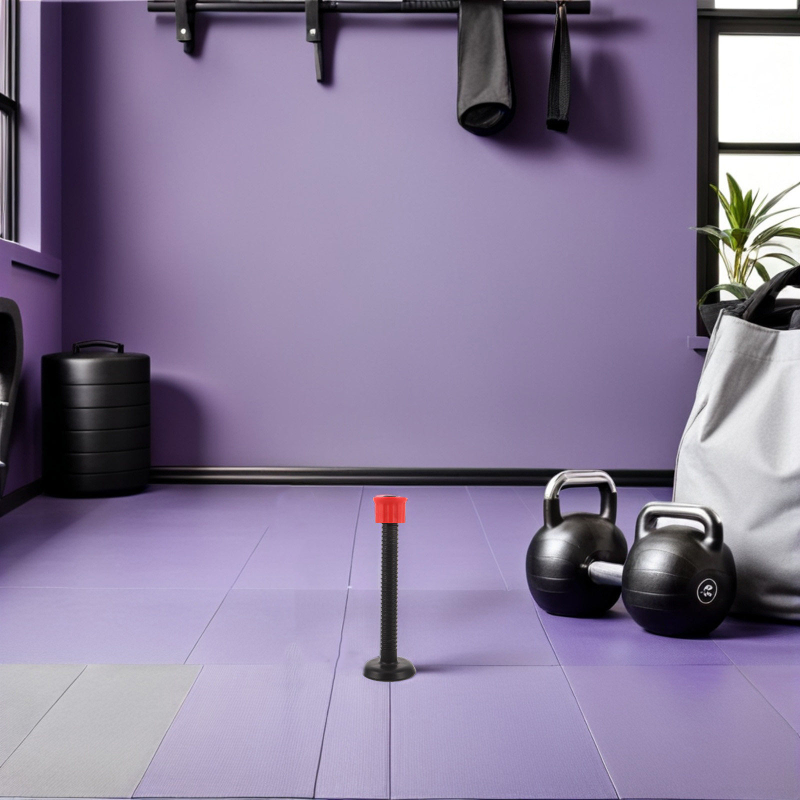 Barres de support en plastique - Home Gym Dumbbells avis et prix